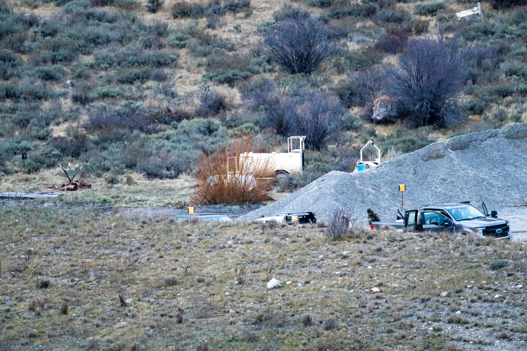 Grizzly 399 operation